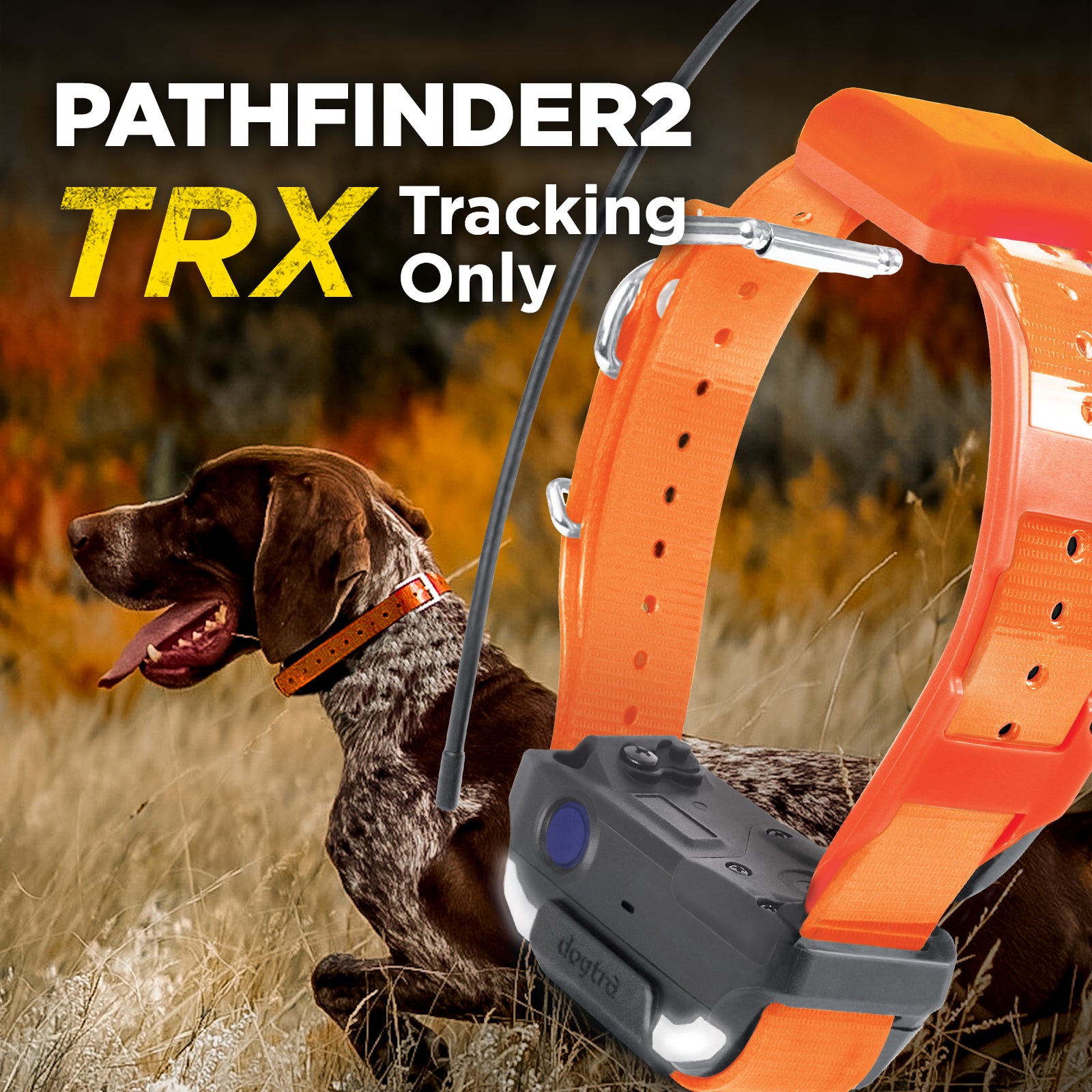 PATHFINDER2 TRX RECEIVER - ORANGE – Dogtra.com