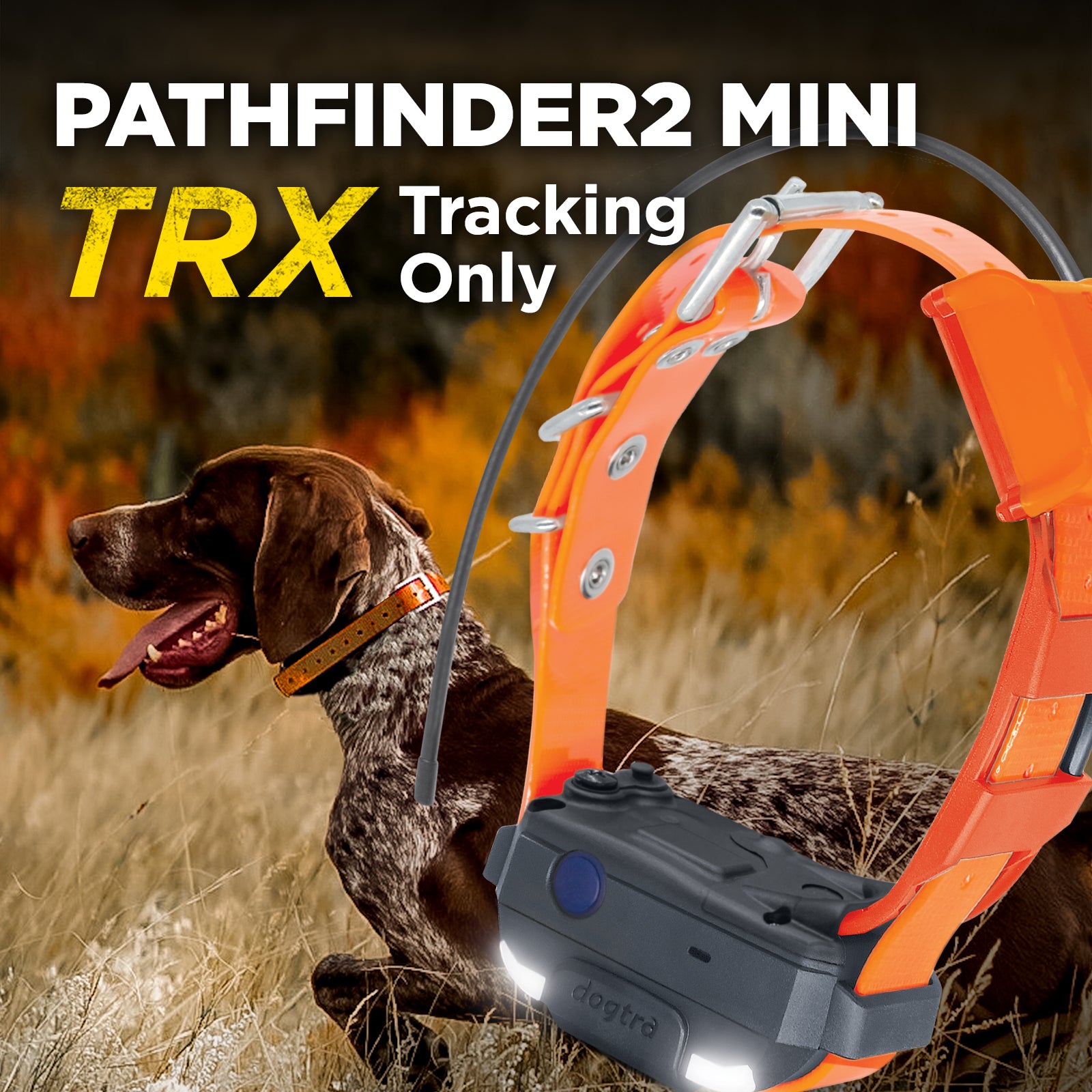 PATHFINDER2 MINI TRX ADDITIONAL RECEIVER - ORANGE – Dogtra.com