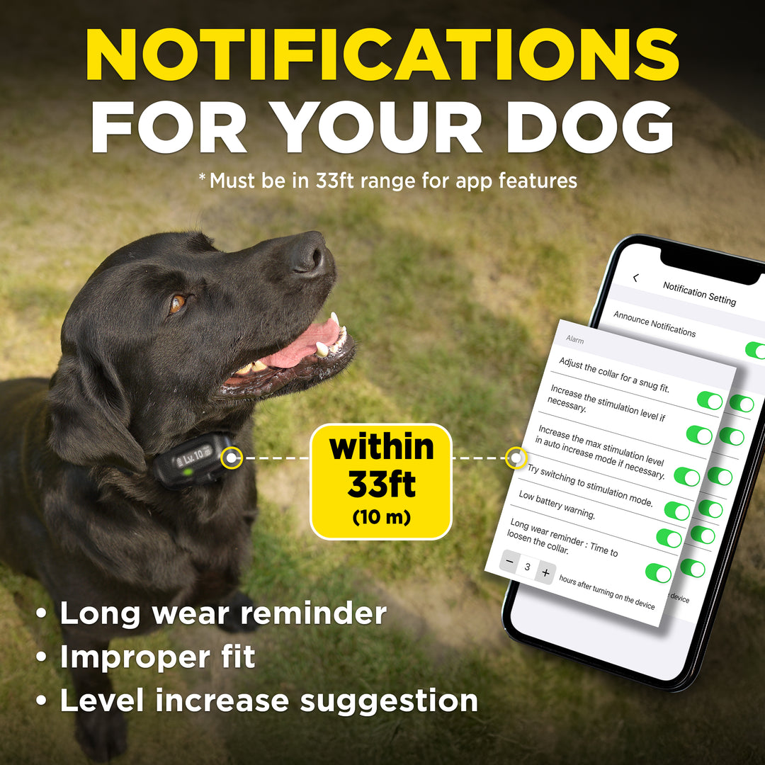 DOGTRA SMART NOBARK