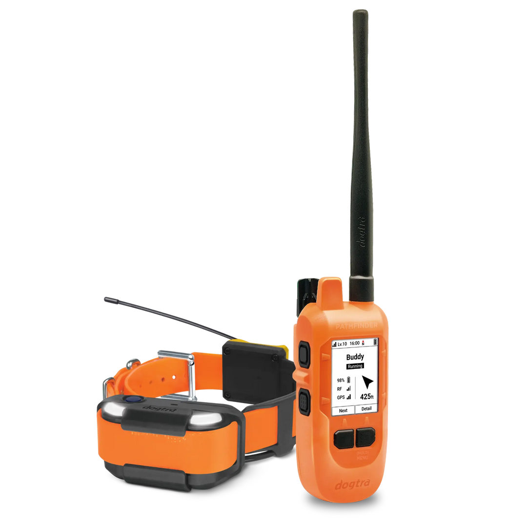 An orange and black dog training remote control with a tall antenna, shown next to an orange and black dog collar on a white background.