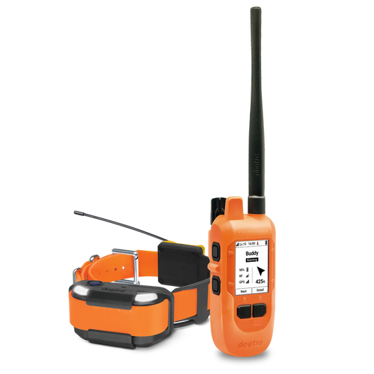 An orange and black dog training remote control with a tall antenna, shown next to an orange and black dog collar on a white background.