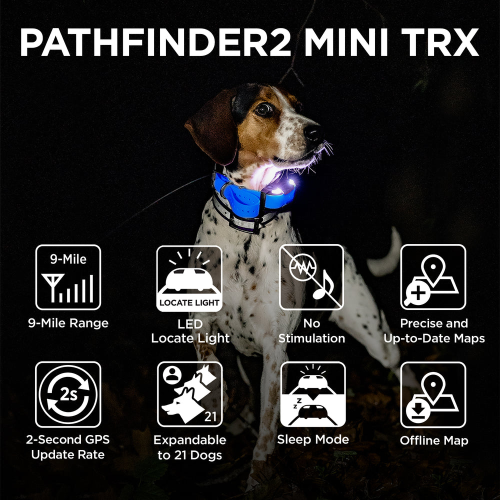 Blue receiver collar with LED light worn on brown and white dog, showing 9-mile range, GPS tracking, and locate light feature