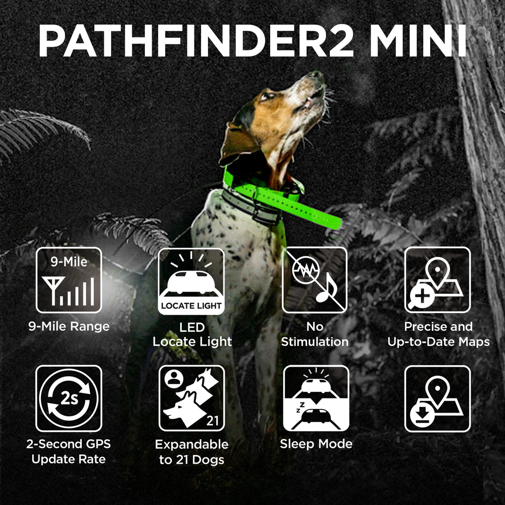 Green GPS receiver collar with LED light mounted on hunting dog's neck against dark background.