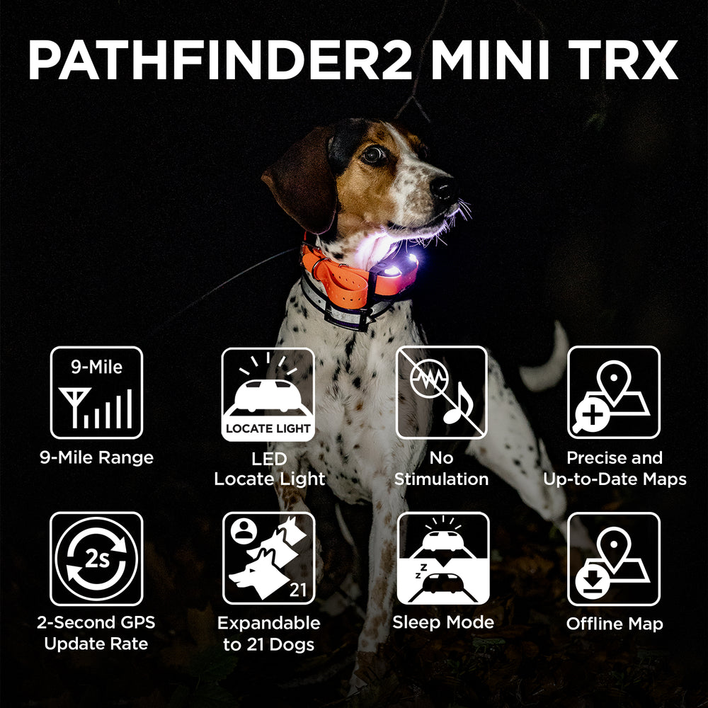Dog wearing orange and black GPS collar receiver with LED locate light against black background.