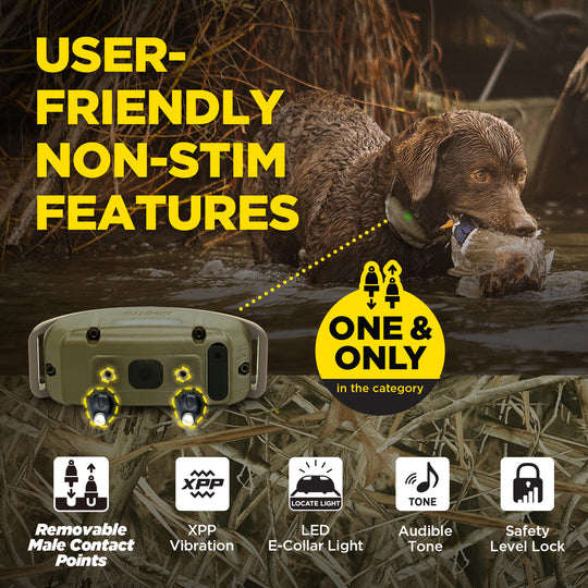 1900X CAMOUFLAGE 1-DOG UNIT