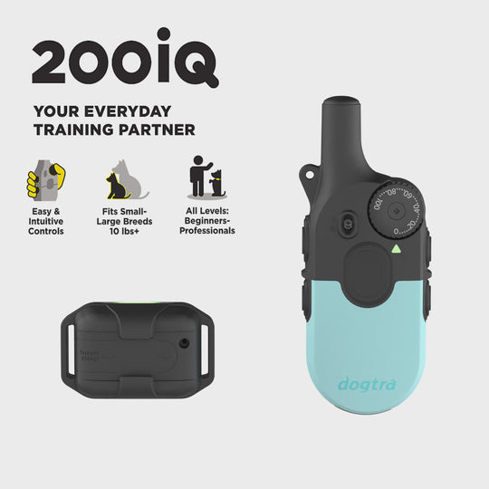200iQ Teal