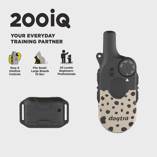 200iQ MODERN DOTS