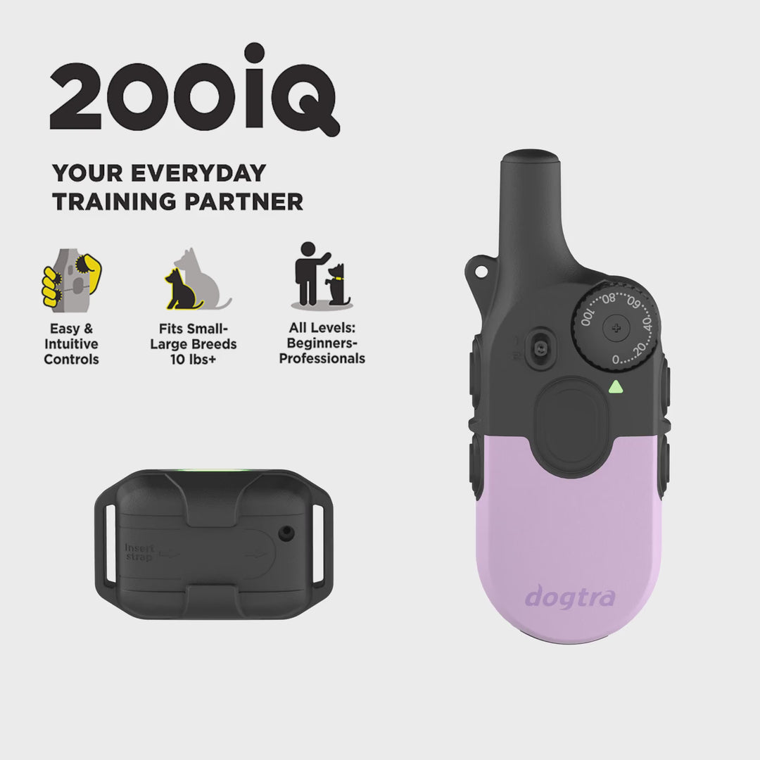 200iQ LAVENDER + FREE DOGTRA TREAT BAG