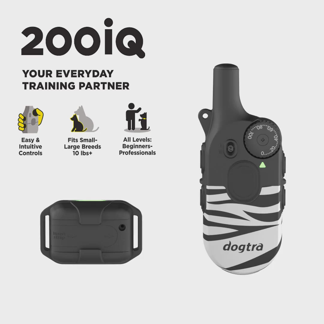 200iQ ZEBRA