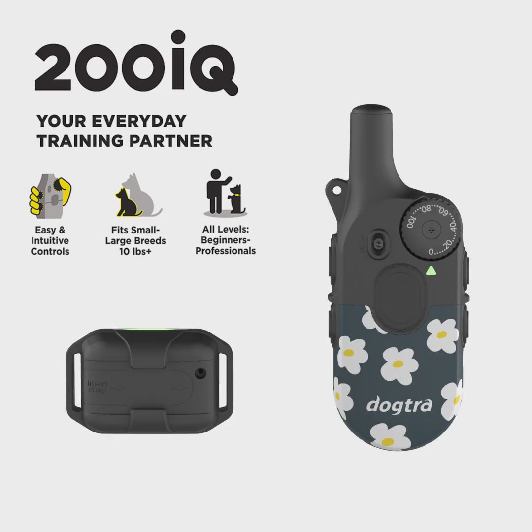 200iQ FLOWER POWER