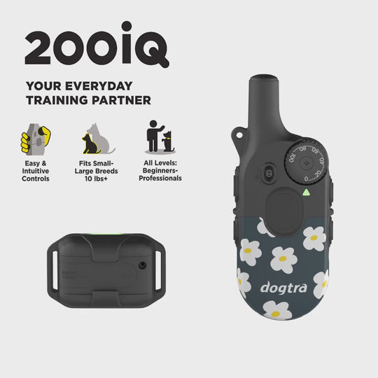 200iQ FLOWER POWER