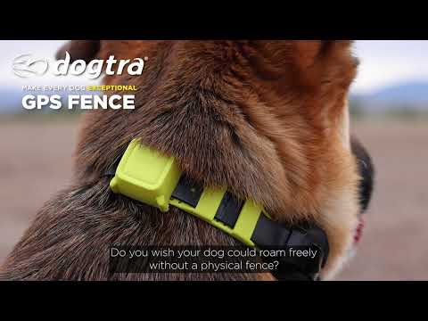 DOGTRA GPS FENCE