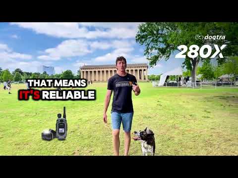 280X 1-DOG UNIT