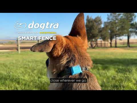 DOGTRA SMART FENCE