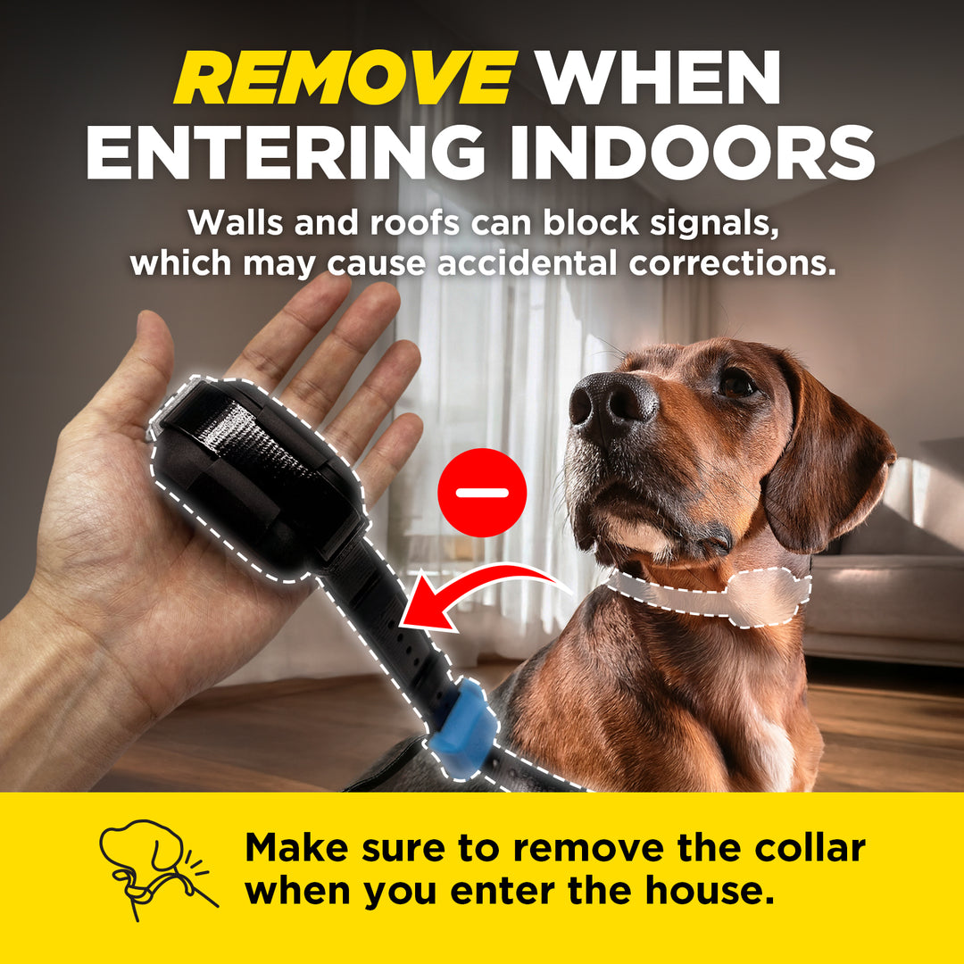 DOGTRA SMART FENCE