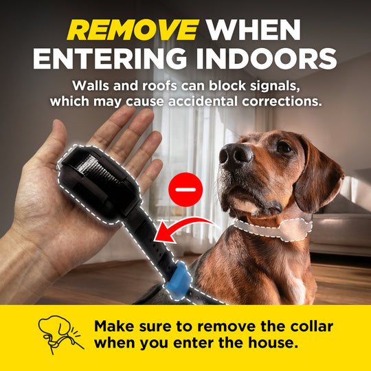 DOGTRA SMART FENCE