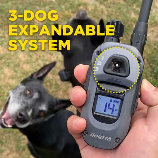 280X 1-DOG UNIT + FREE DOGTRA TREAT BAG