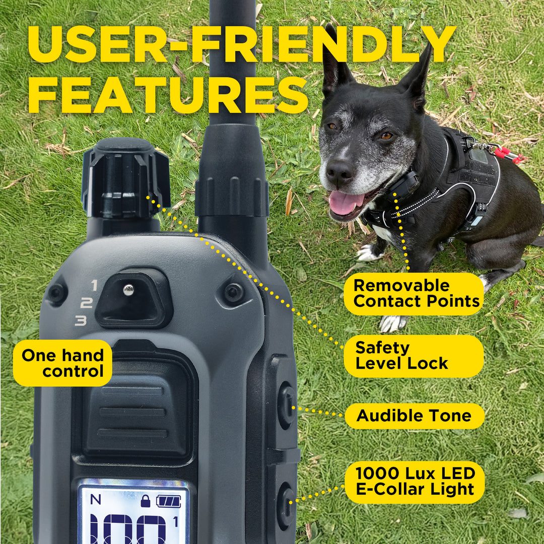 280X 1-DOG UNIT + FREE DOGTRA TREAT BAG