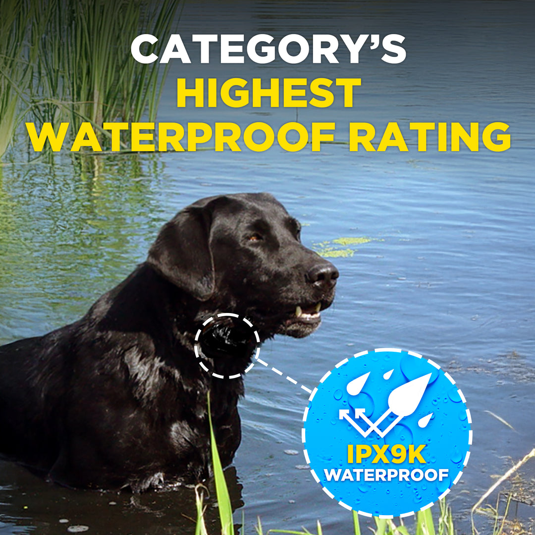DOGTRA SMART NOBARK