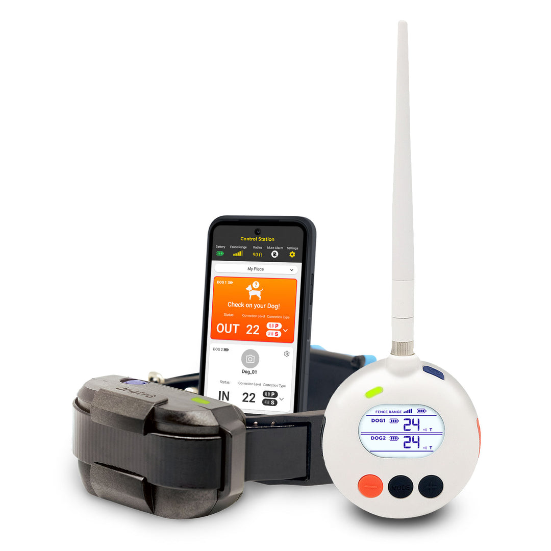 DOGTRA SMART FENCE