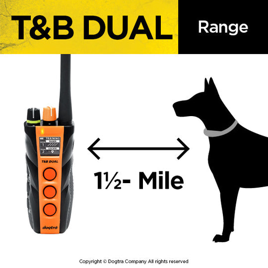 T&B DUAL 2 DOG