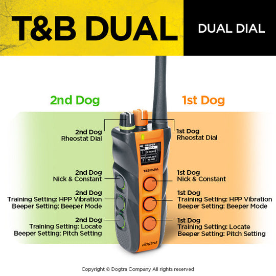 T&B DUAL 2 DOG