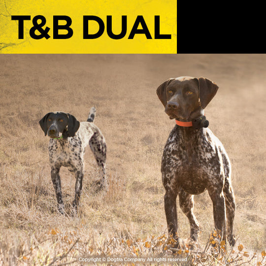 T&B DUAL 2 DOG