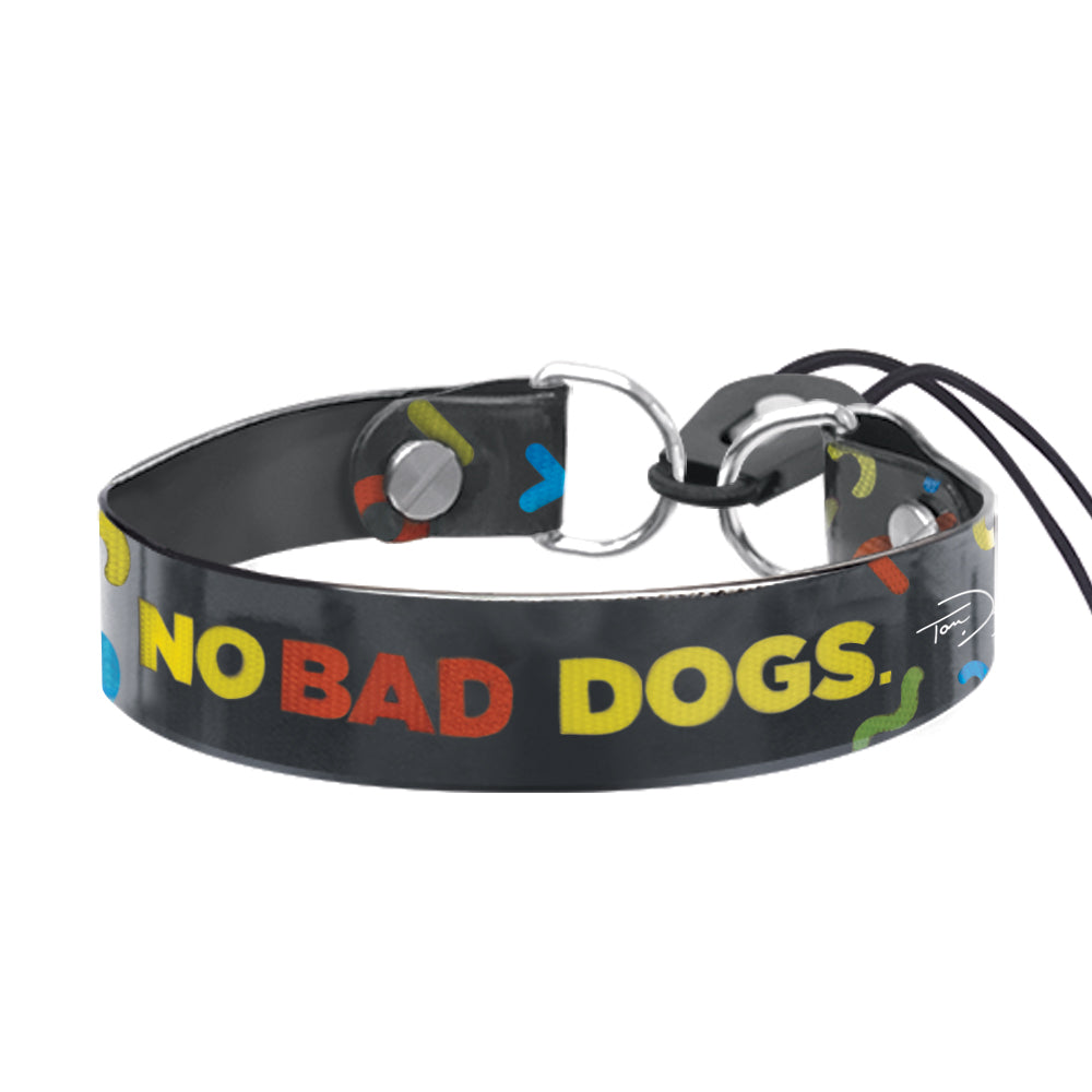 TOM DAVIS EDITION BUNGEE COLLAR – Dogtra.com