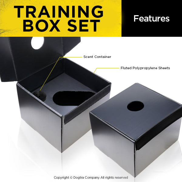 TRAINING BOX SET 3 COUNT