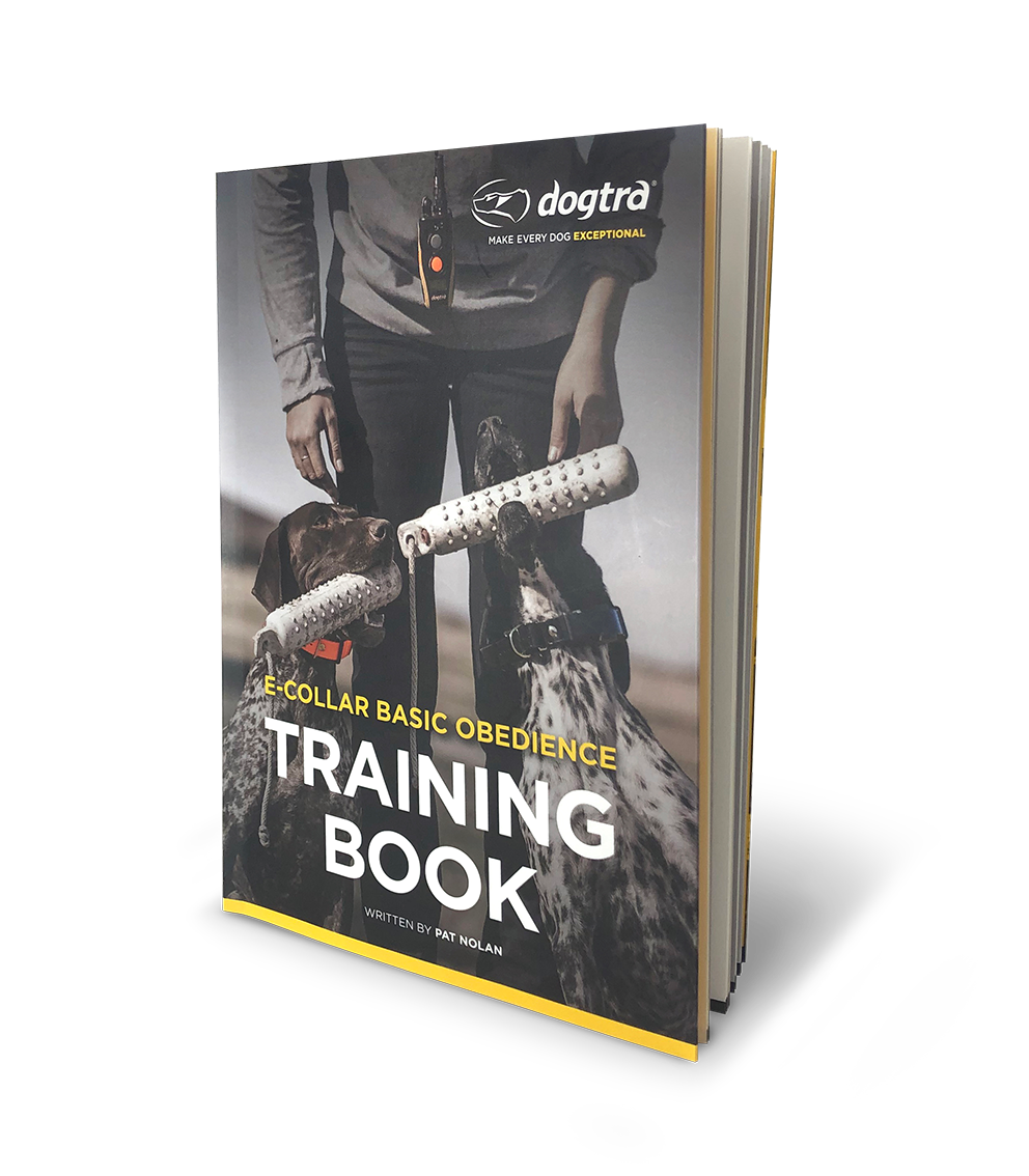 Dogtra e-collar basic obedience training book by Pat Nolan with dog wearing collar during training session.