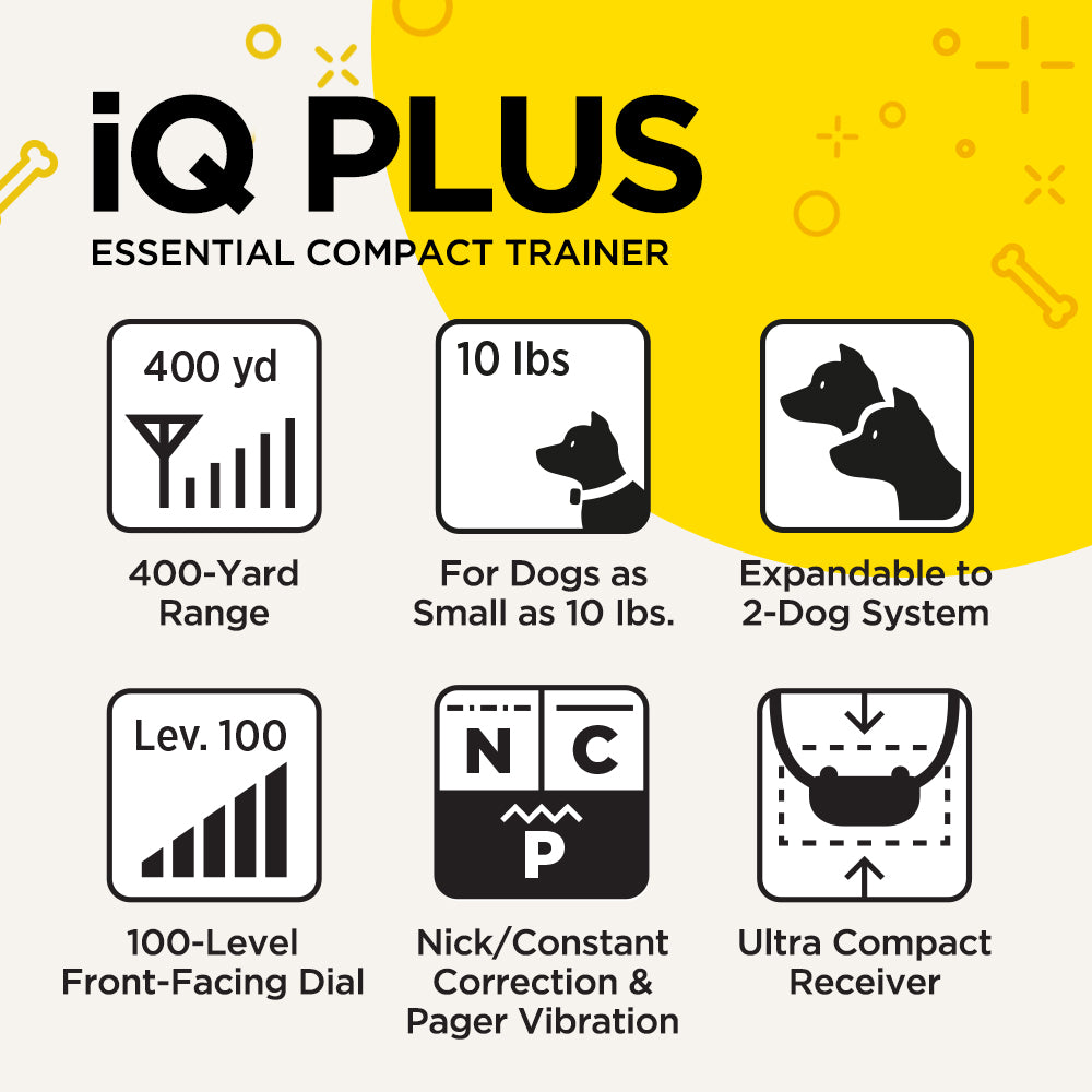 iQ PLUS