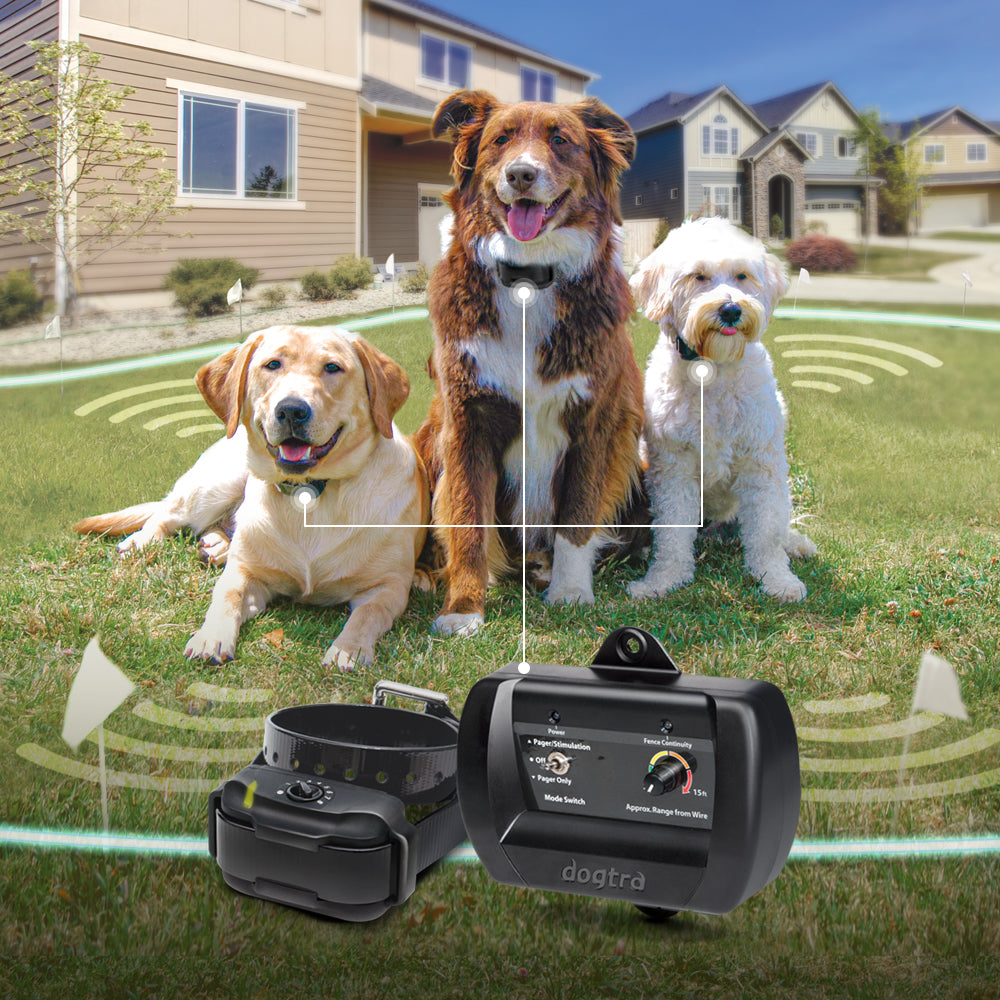 Electric Fence Collar Underground Shock Collar For Dogs Electric