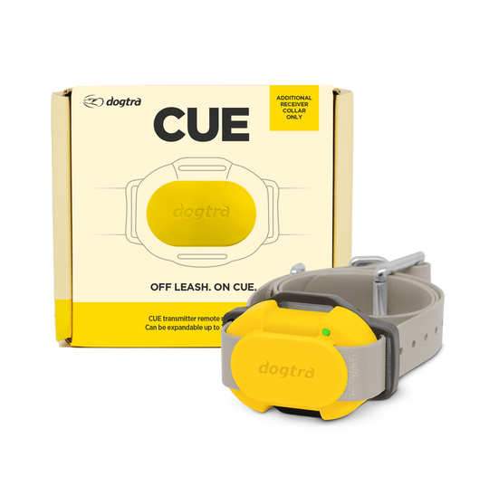 CUE ADDITIONAL RECEIVER - YELLOW